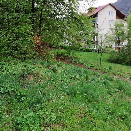 Rustic & Romantic Apartment Braşov Eksteriør bilde