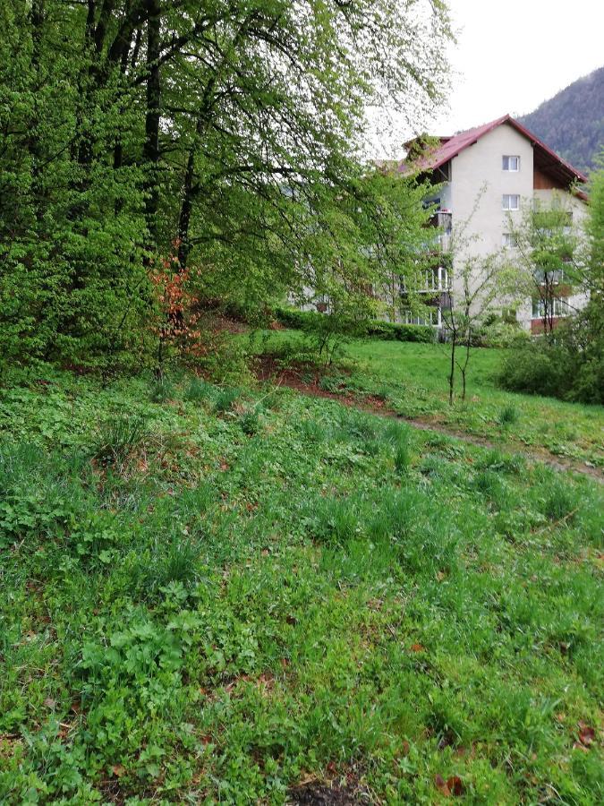 Rustic & Romantic Apartment Braşov Eksteriør bilde